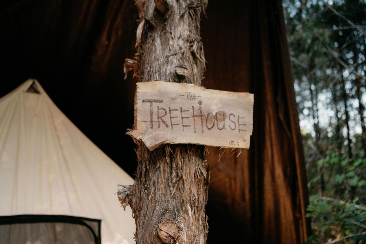 Treehouse Cozy Glamping Site Hotell Branson Exteriör bild